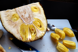 jackfruit costa rica exotic fruits